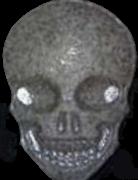 Totenkopf / MyBrand sample 10001
