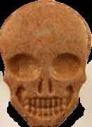 Totenkopf / MyBrand sample 10100