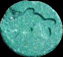 Dolphin sample 1041