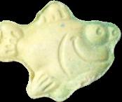 Fish sample 10458