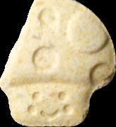 Mushroom sample 10527