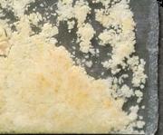5-MeO-DMT sample 10559