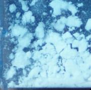 2-FMA sample 10763