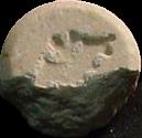 Bat sample 1077