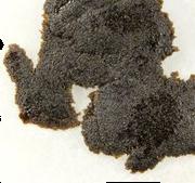 Haschisch sample 10794