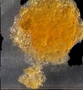 Base sample 10824