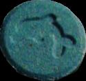 Dolphin sample 1084