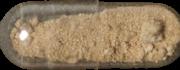 5-MeO-DMT sample 10952
