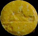 Alligator sample 1101