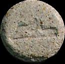 Alligator sample 1107