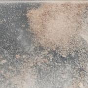 2F-DCK sample 11164