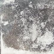 Benzo sample 11200