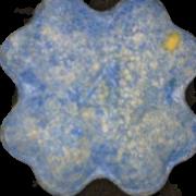 Kleeblatt sample 11310