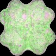 Kleeblatt sample 11316