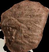 Lion sample 11346