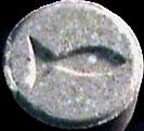 Fish sample 1138