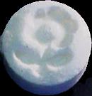 Daisy sample 1141