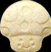 Yellow Mushroom sample 11479