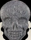 MyBrand Skull sample 11684
