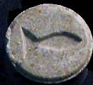 Fish sample 1175