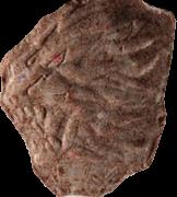Lion sample 11768