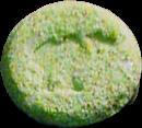 Camel sample 1178