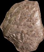 Lion sample 11791