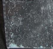 Benzo sample 11820