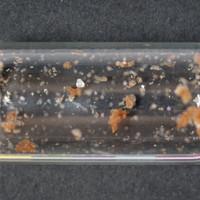 5-MeO-DMT sample 11835