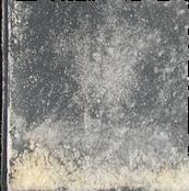 3-HO-PCP sample 11838