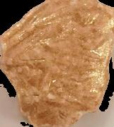 Lion sample 11875