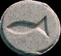 Fish sample 1189