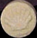 Shell sample 119