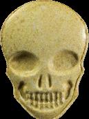 Totenkopf / My Brand sample 12018