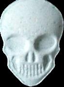MyBrand Skull sample 12025