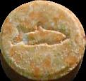 Shark sample 1203