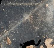 Brown Flakes sample 12103