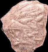 Lion sample 12161