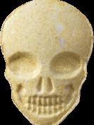 Totenkopf / MyBrand sample 12165
