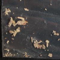 Spice lab-tested pill