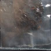 Crack Resin sample 12231