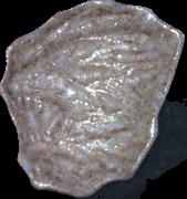 Lion sample 12253