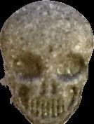 Totenkopf / MyBrand sample 12327