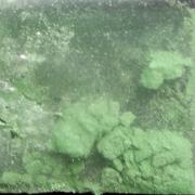 S903 sample 12358