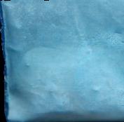 Tussy sample 12400