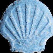 Shell sample 12508