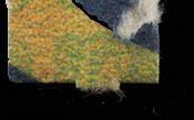 LSD Filz sample 12612