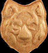 Fox sample 12770