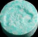 Dolphin sample 1284
