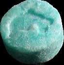 Dolphin sample 1293